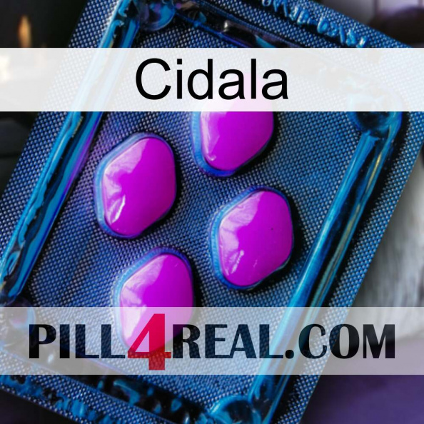 Cidala 04.jpg